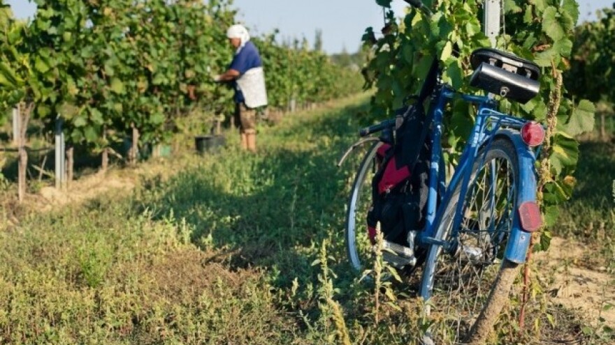 Internet prodajom izbegli posrednike i trgovce!