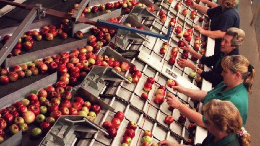 Ne propustite Interpomu - vodeći sajam jabuke!