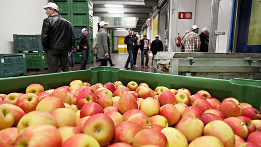 Interpoma 2014. - sve o jabukama na jednom mjestu