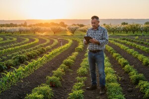 Intervju s ministrom Jakovinom