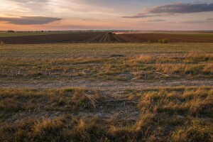 Intervju s Vesnom Gantner pomoćnicom ministra Jakovine