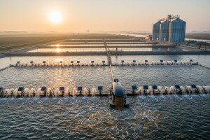 Investicija u zapuštene ribnjake