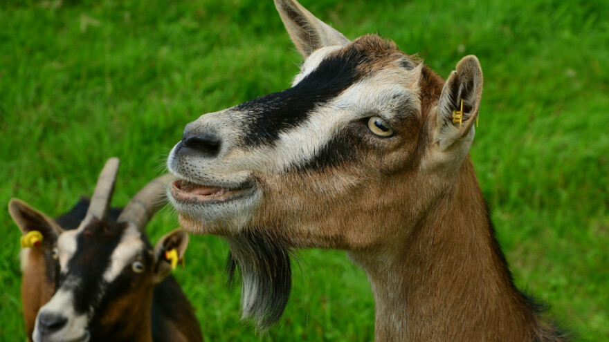 U 6 godina uložili preko 400 miliona KM u poljoprivredu