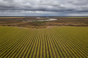 Investicijski dragulj na jugu Argentine