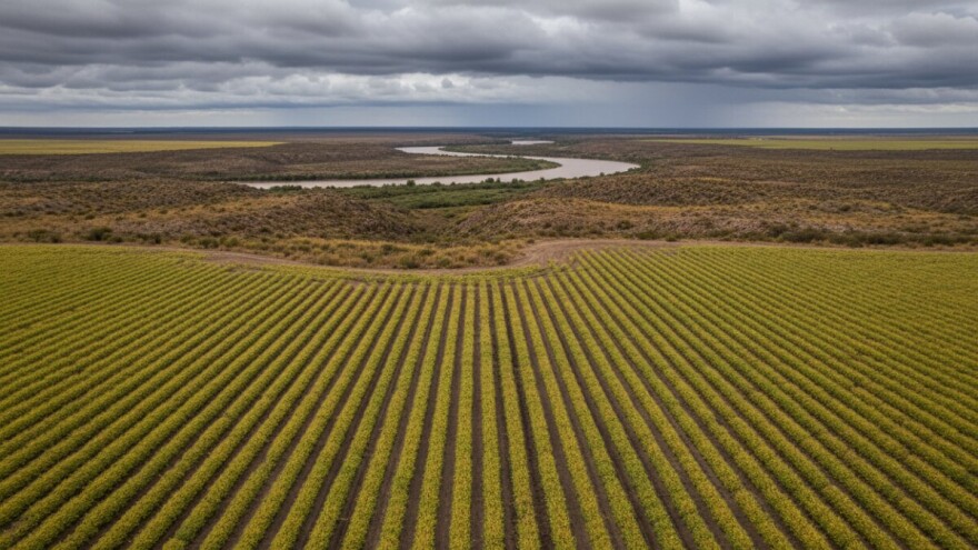 Investicijski dragulj na jugu Argentine