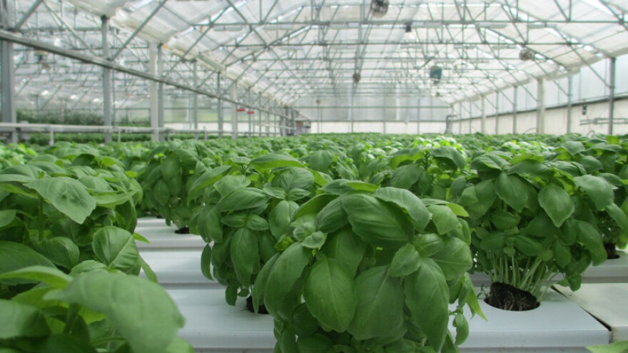 Italijanske firme zainteresirane za ulaganje u RS