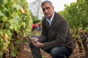 Proizvodite vino? Evo kako do poticaja!