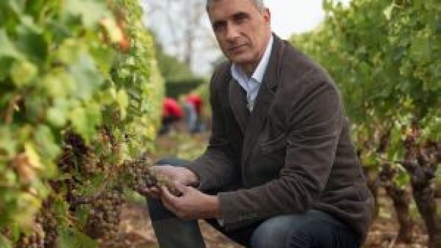 Proizvodite vino? Evo kako do poticaja!