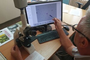 Kreće nova sezona mjerenja polena, stručnjaci će redovno izvještavati sve koji su alergični