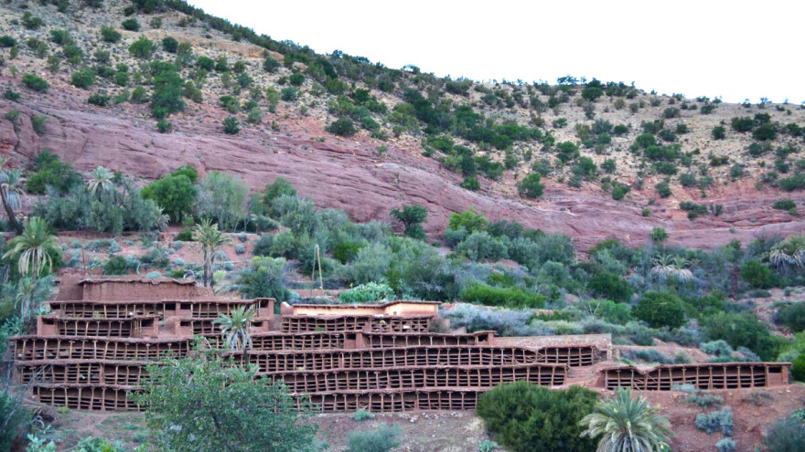 Najveći pčelinjak na svijetu ima 3.700 košnica