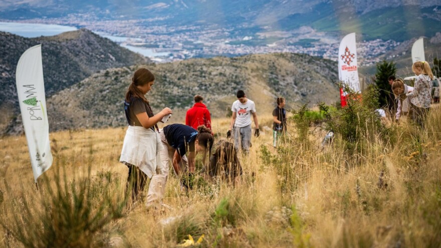 Započela 6. Boranka, volonteri u prethodnih pet posadili više od 115.000 novih stabala