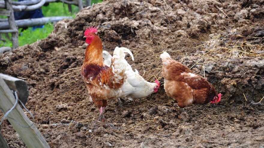 Rekonstrukcija objekta za stajski gnoj pomoću IPARD-a