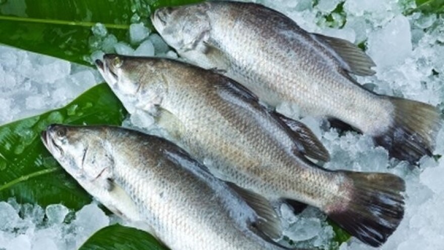 Ribarima isplaćeno 33 mil. kuna