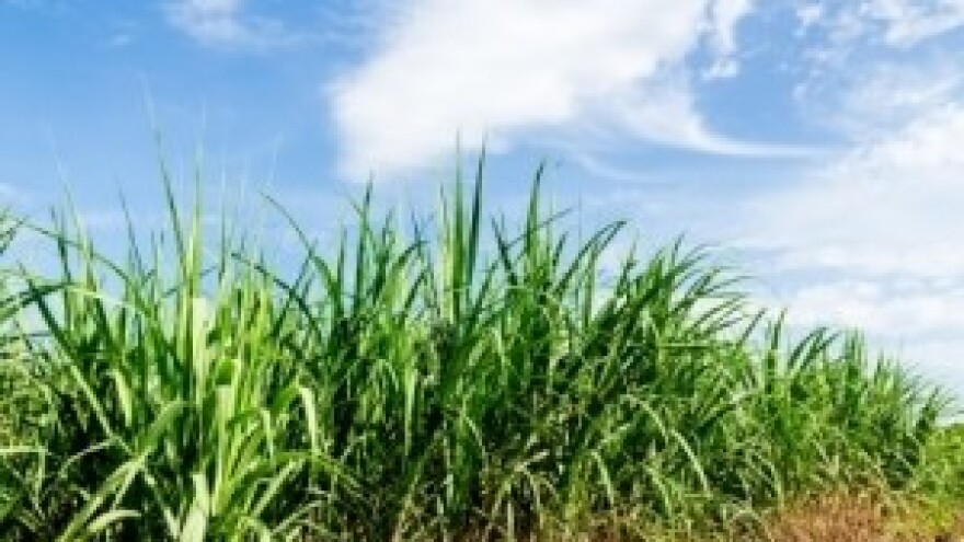 1,5 milijuna kuna iz IPARD-a isplaćeno LAG-ovima!