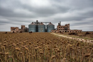 IPK Kandit želi preuzeti čepinsku Uljaru