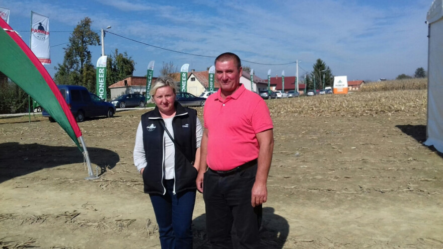 Kvalitetnim sjemenom i plodoredom protiv kukuruzne zlatice