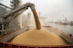 Iran potiho kupio gotovo svu pšenicu na tržištu?!