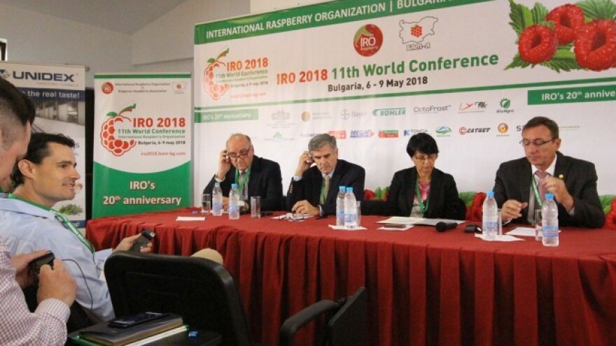 BiH malinari aplicirali za članstvo u Međnarodnoj organizaciji za malinu