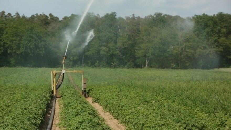 Hoće li 2016. biti rekordno topla?