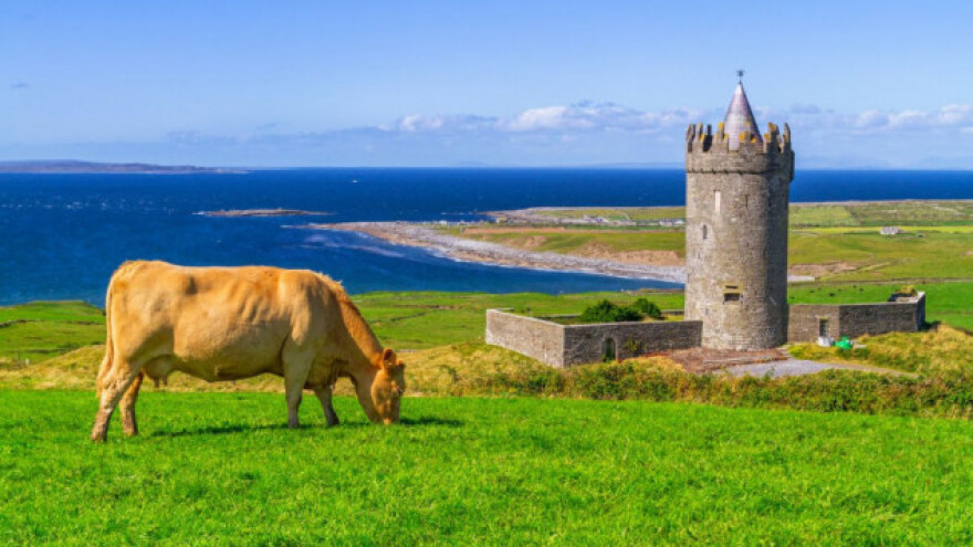 Spas irske poljoprivrede u okolišnoj praksi