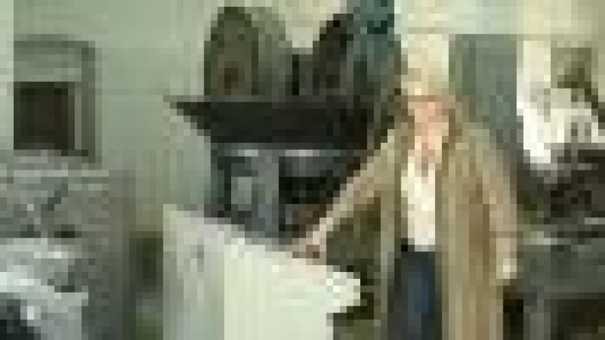 Ižani bi išku maslinu