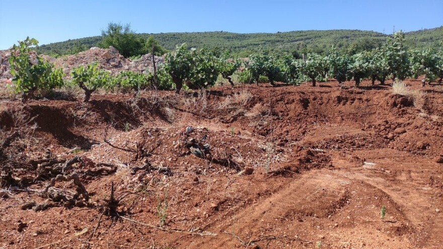 Što će jesti naša djeca: Iskapanje i prodaja plodnog tla unosnije od uzgoja hrane na njemu?