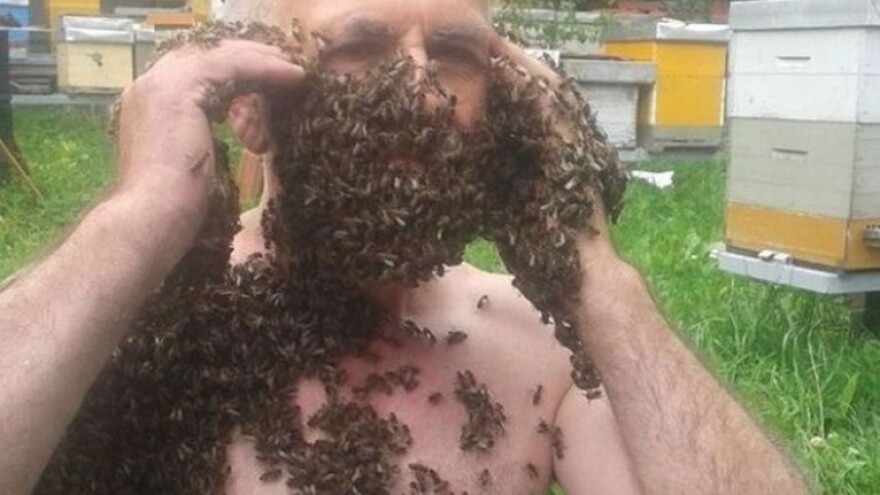 Pčele treba voljeti, ne samo gledati korist