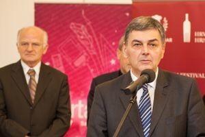 Vina Slavonije i Baranje uz pršut San Daniele