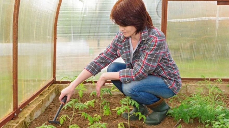 Isplaćene prve rate malim poljoprivrednicima