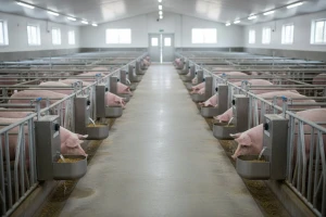 Isplaćeno 1,8 milijuna kuna za izgradnju farme svinja