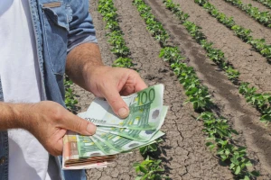 Isplaćeno 20 milijuna eura potpora za proljetnu sjetvu