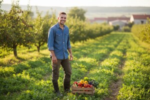 Isplaćeno 750 milijuna kuna predujma