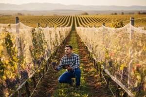 Isplaćeno više od 1,4 milijuna kuna za dva završena IPARD projekta