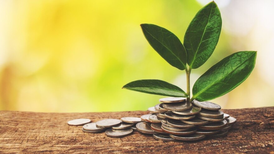 Vanredno isplaćeno 750.000 KM za premiju za uzgoj ovaca i koza!