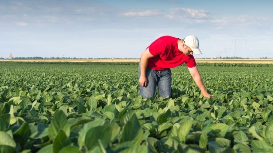 Žurna isplata potpora za mjesec dana!