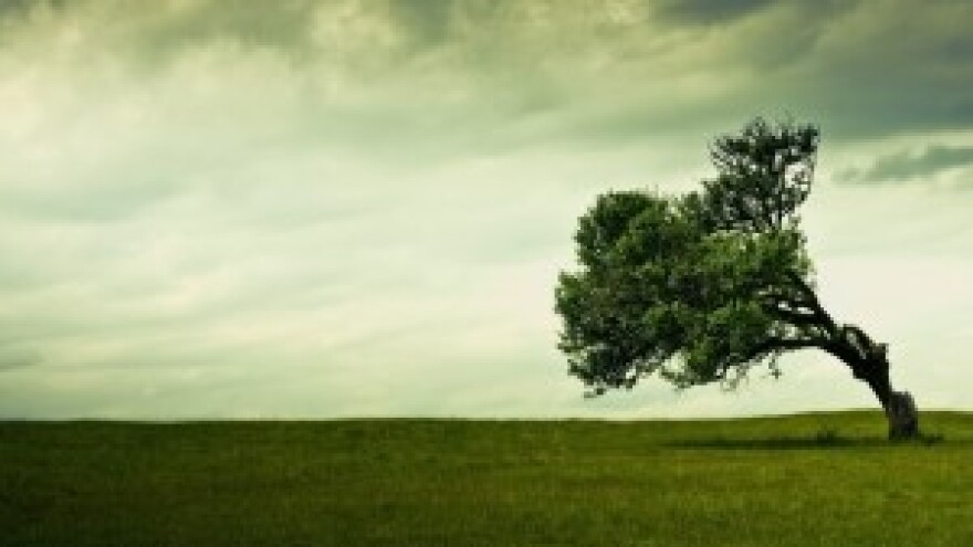 Što je isplaćeno i u kojem postotku?