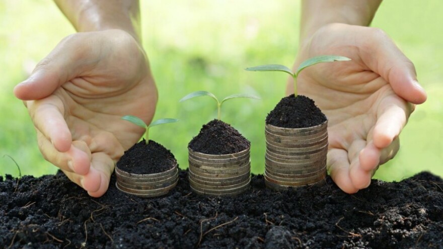 Potpore od danas sjedaju na račune!