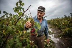 Isplata prve tranše pomoći od 50 miliona