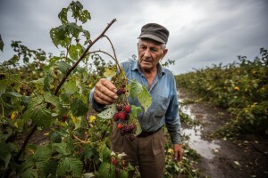 Isplata prve tranše pomoći od 50 miliona