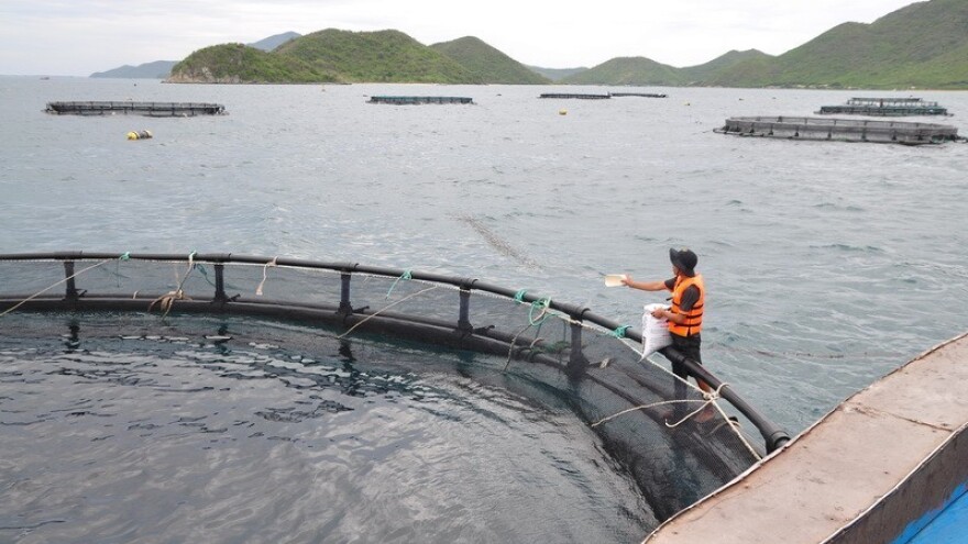 Započela isplata 1,6 milijuna kuna ribarima