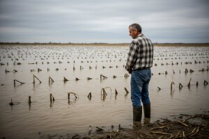 Isplata šteta samo na poplavljenim područjima?