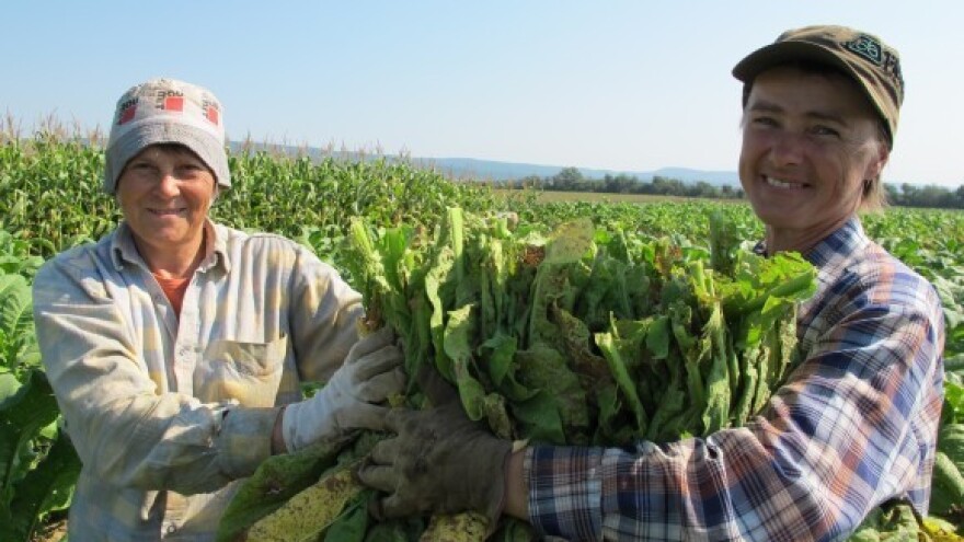 Završeno poravnavanje računa za proizvodnu 2014.
