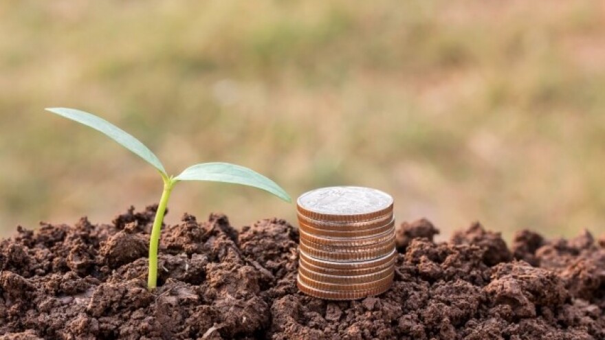 Posljednja faza isplate izravnih plaćanja!