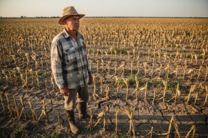 Isplatite poljoprivrednicima potporu i naknadu za štete