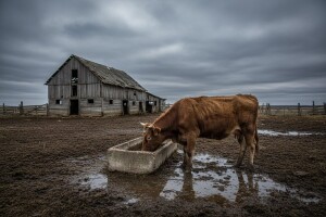 Ispovijest vlasnika farme strave