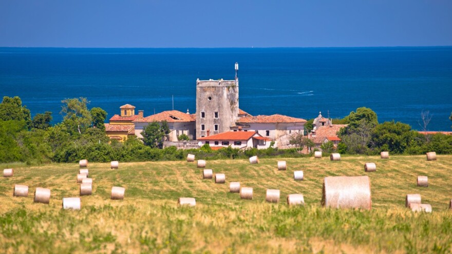Vučković: Izmjene zakona o poljoprivrednom zemljištu štite najvrjednije resurse