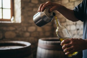 Istrani masovno kupuju dalmatinske masline pa će ulje prodavati kao svoje