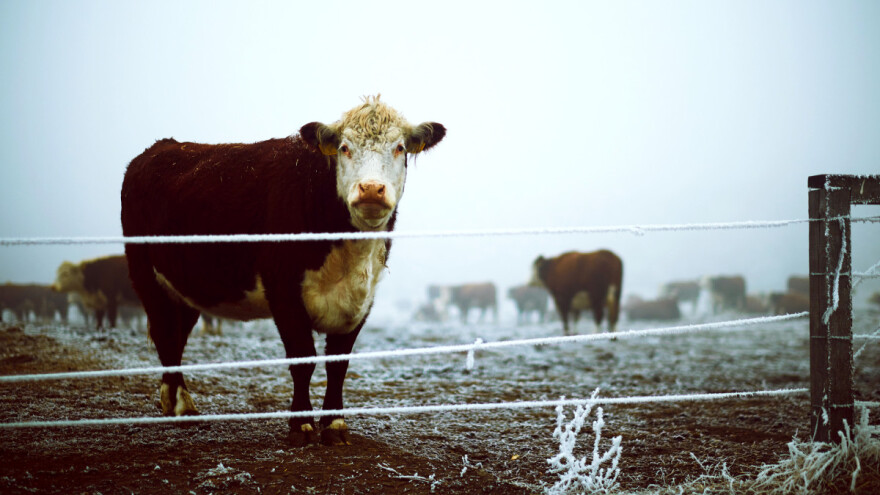 Šta nam donosi jesen - u jugoistočnoj Evropi gotovo zimsko vreme