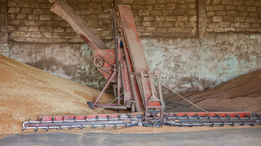 Dozvoliti izvoz pšenice, kukuruza i brašna da bi poljoprivrednici naplatili svoj rad?