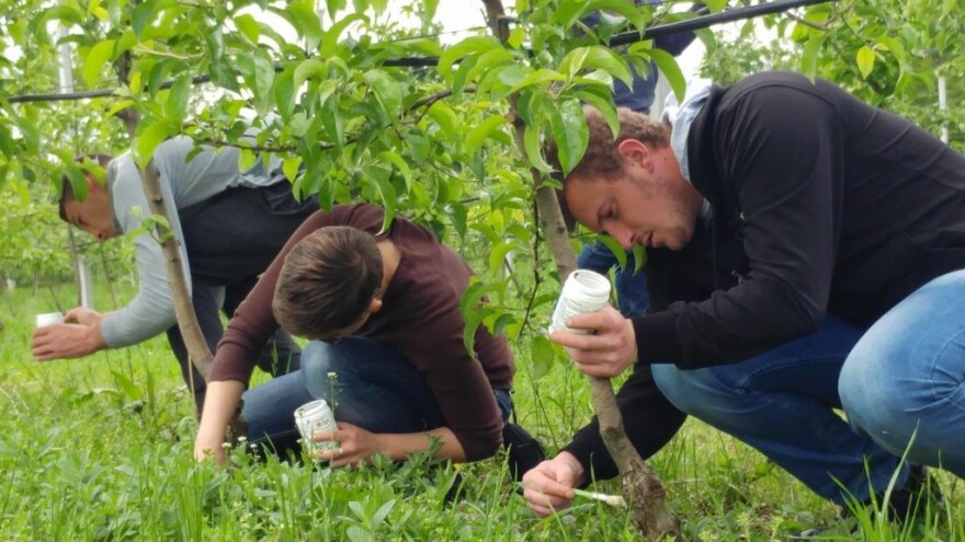 Zapošljavanje mladih: Nadbiskupski centar za mlade podržava poljoprivredu